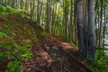 Similar image 21763651