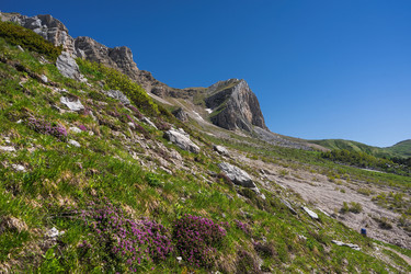 Similar image 21763654