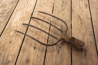 Similar image 21763268