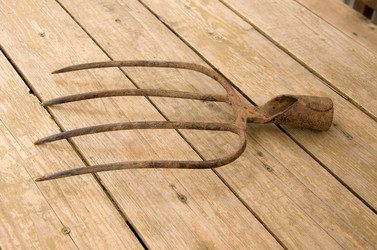 Similar image 21763271