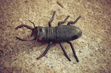 Similar image 21763272