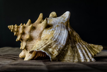 Similar image 21763301