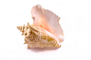 Similar image 21745721