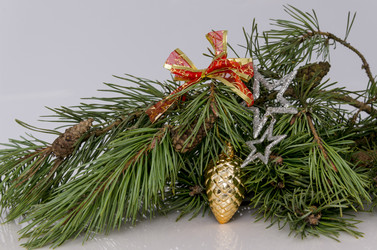 Similar image 21761938