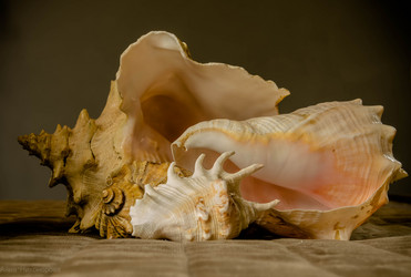 Similar image 21761947