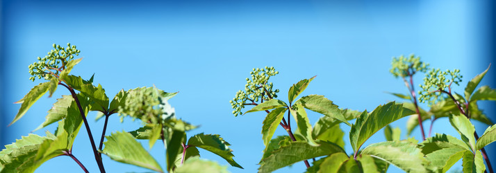 Similar image 21744063