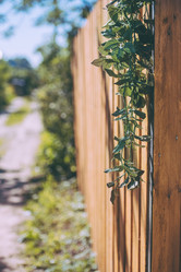 Similar image 21761949