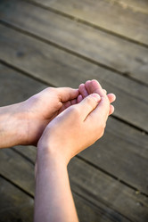 Similar image 21745749