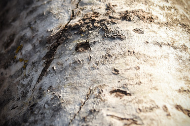 Similar image 21762001