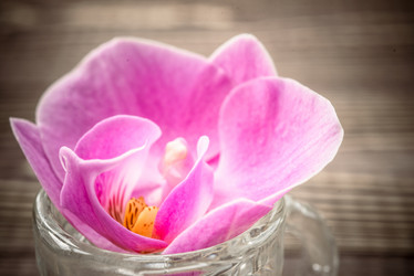 Similar image 21745750