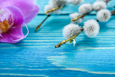 Similar image 21744064