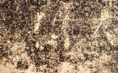 Similar image 21744065