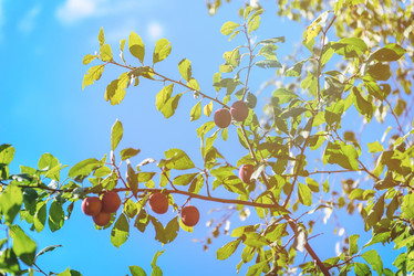 Similar image 21744068