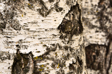 Similar image 21744070