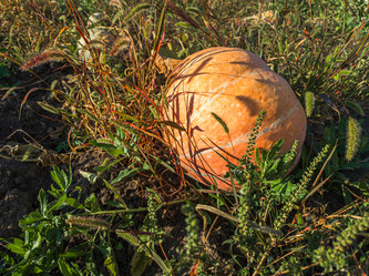 Similar image 21763679