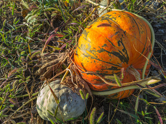 Similar image 21763680