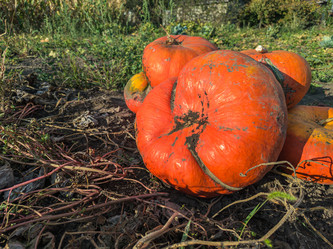 Similar image 21763683