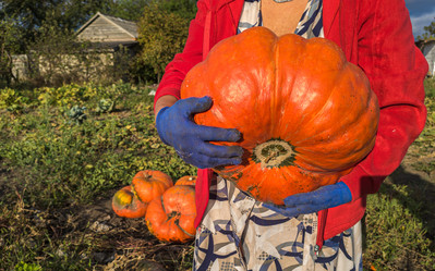 Similar image 21763684