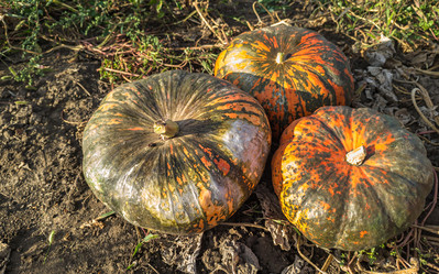 Similar image 21763685