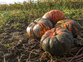 Similar image 21763686