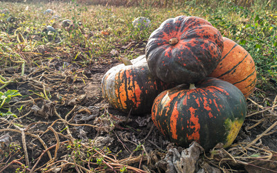 Similar image 21763687