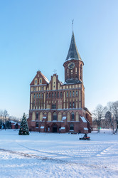 Similar image 21764313