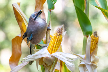 Similar image 21751236