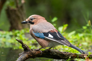 Similar image 21750616