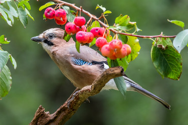 Similar image 21751237