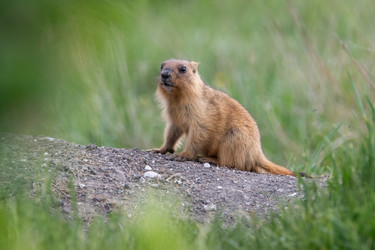 Similar image 21750617