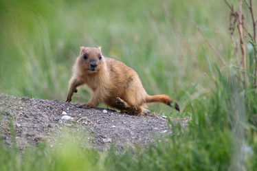 Similar image 21750618