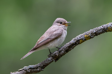 Similar image 21751238