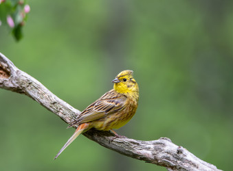 Similar image 21751239