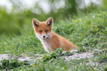 Similar image 21750619