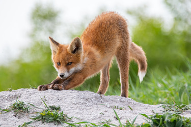 Similar image 21750621