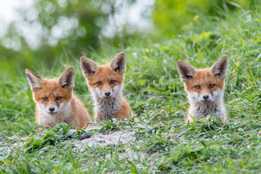 Similar image 21750623