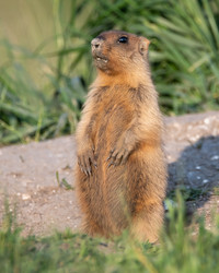 Similar image 21750626