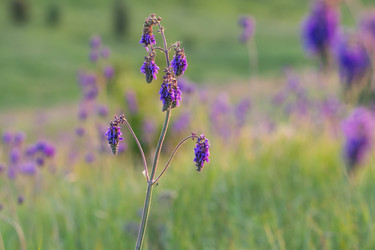 Similar image 21751241