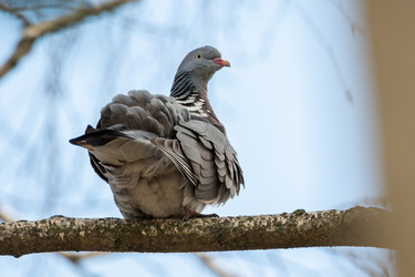 Similar image 21750628