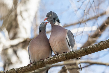 Similar image 21750631