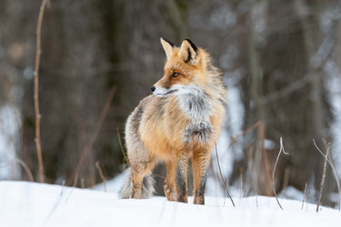 Similar image 21751428