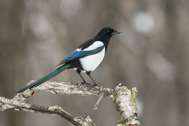 Similar image 21751431