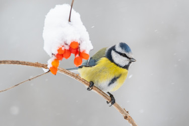 Similar image 21751432