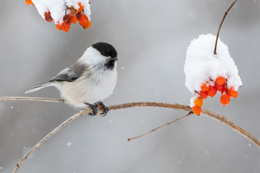 Similar image 21751433