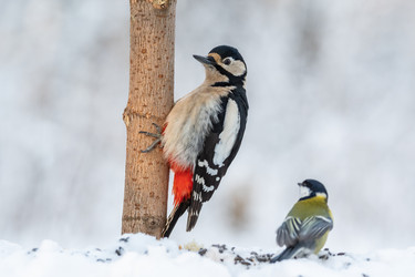 Similar image 21751244