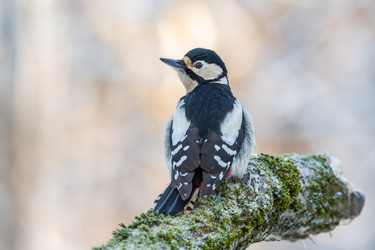 Similar image 21751245