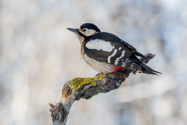 Similar image 21751246