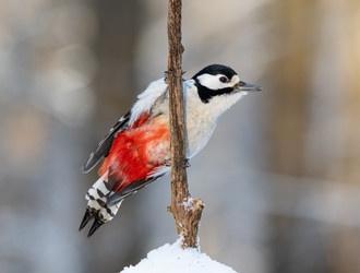 Similar image 21751251