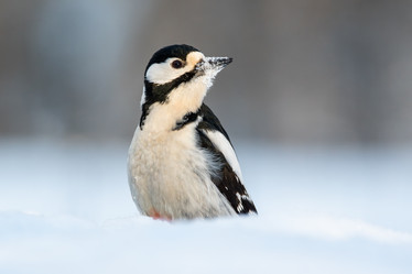 Similar image 21751252