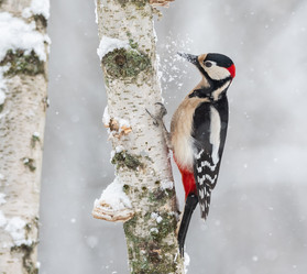 Similar image 21751253